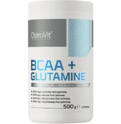 BCAA + Глутамин / BCAA + GLUTAMINE Powder OstroVit - 500 грама